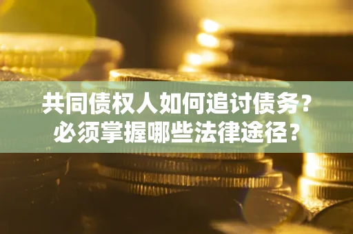 武汉共同债权人如何追讨债务？必须掌握哪些法律途径？
