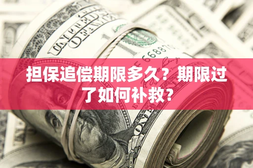 武汉担保追偿期限多久？期限过了如何补救？