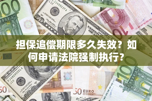 武汉担保追偿期限多久失效？如何申请法院强制执行？