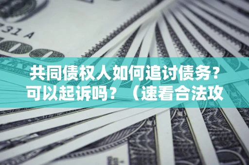 武汉共同债权人如何追讨债务？可以起诉吗？（速看合法攻略）