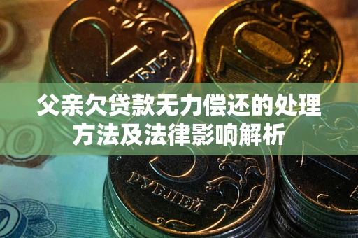 武汉父亲欠贷款无力偿还的处理方法及法律影响解析